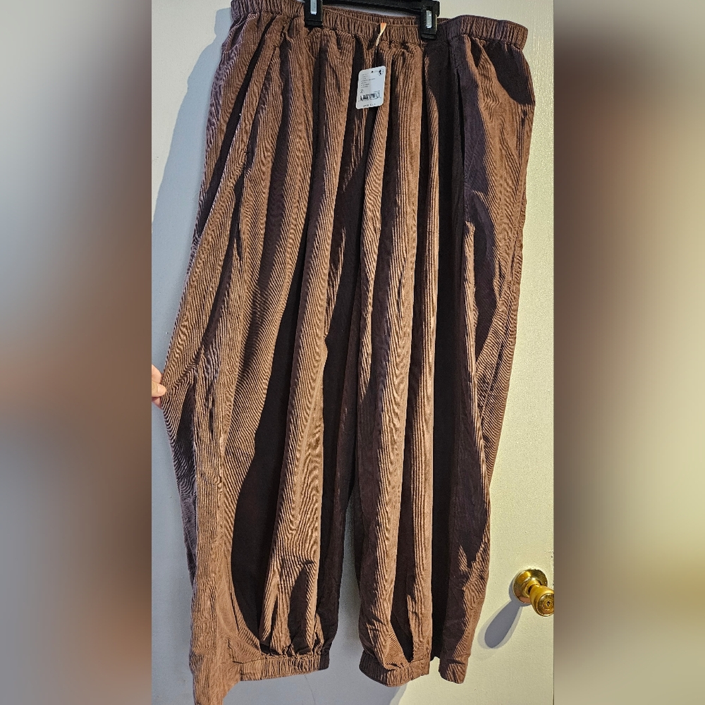 Free People Brown Pants